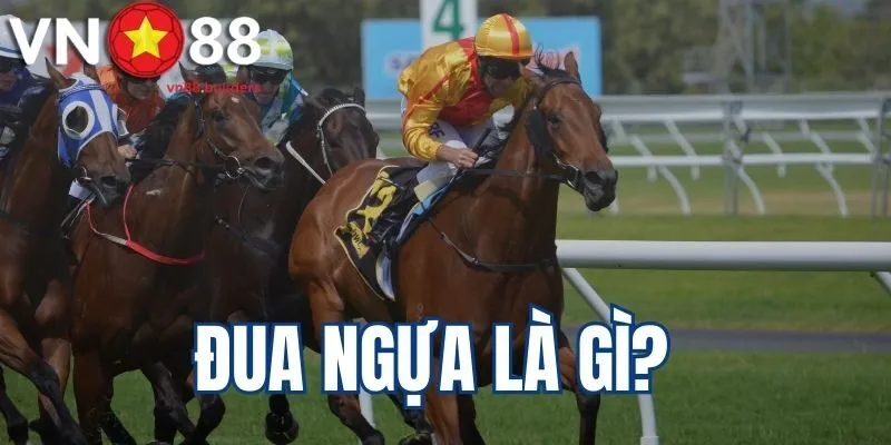 dua-ngua-la-gi