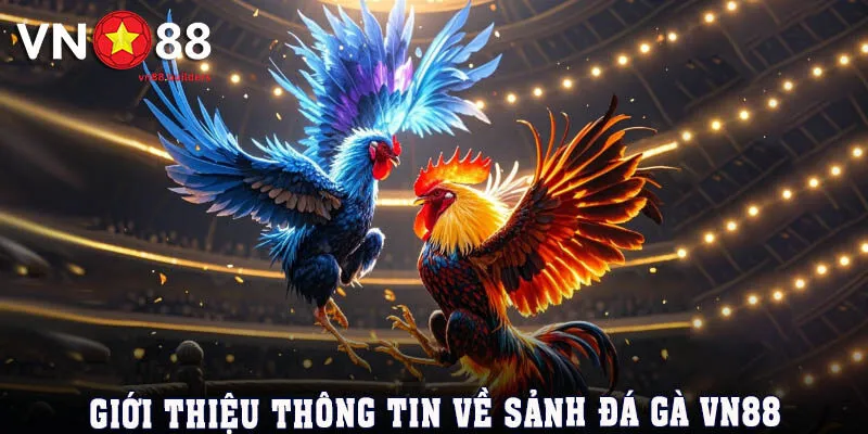 gioi-thieu-sanh-da-ga-vn88