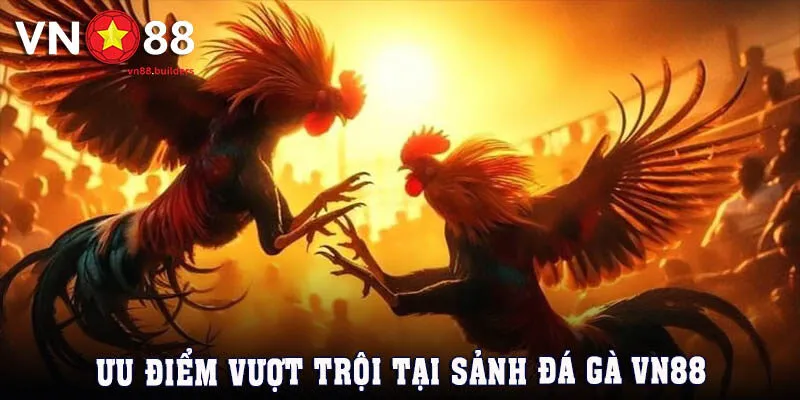 ly-do-khien-da-ga-hut-khach