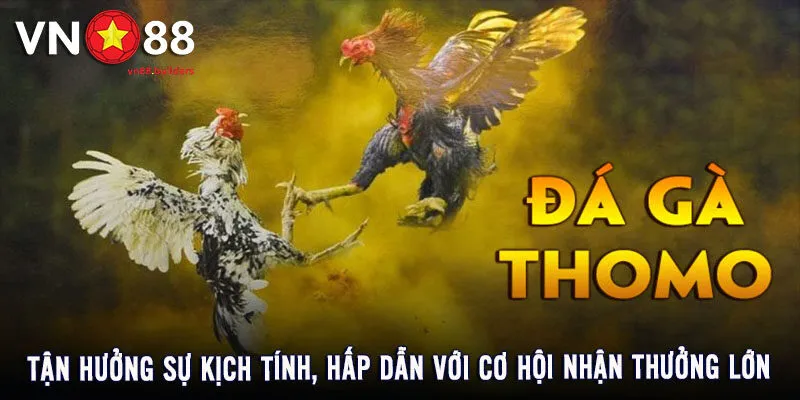 xem-da-ga-thomo-tai-vn88